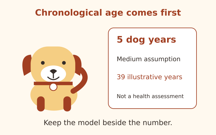 A chronological age note beside an illustrative human-year comparison