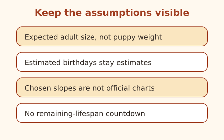 Adult-size choices and an estimated birthday clearly marked as assumptions