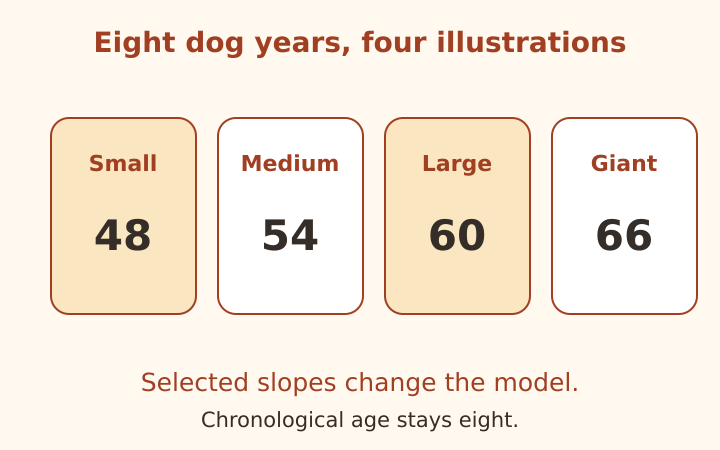Four illustrative size-group values beside the same eight-year chronological age